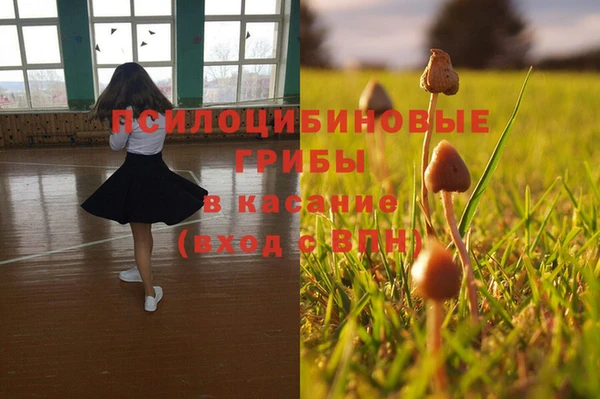PSILOCYBIN Баксан