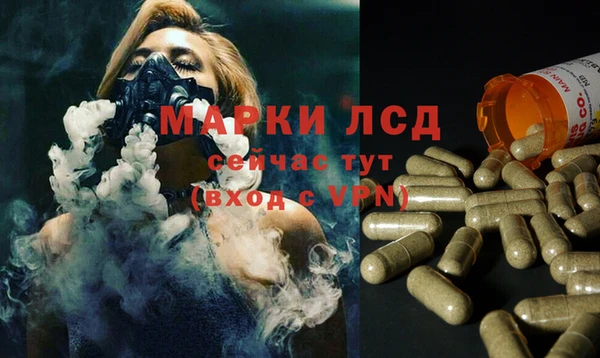 гидропоника Балахна
