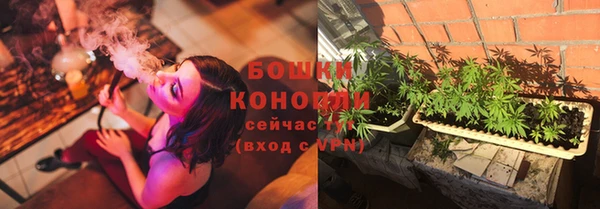 PSILOCYBIN Баксан