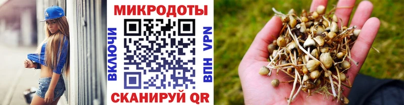 Галлюциногенные грибы Psilocybine cubensis  Ульяновск 